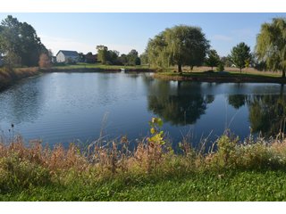 Property photo 115 - EHLE FARMS AUCTION - 118+/- ACRES IN 9 TRACTS IN ALLEN COUNTY, INDIANA